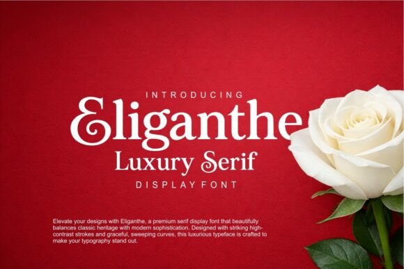 Eliganthe: Where Timeless Elegance Meets Modern Design